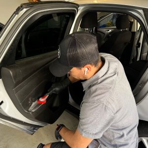 doors cleaning doors cleaning